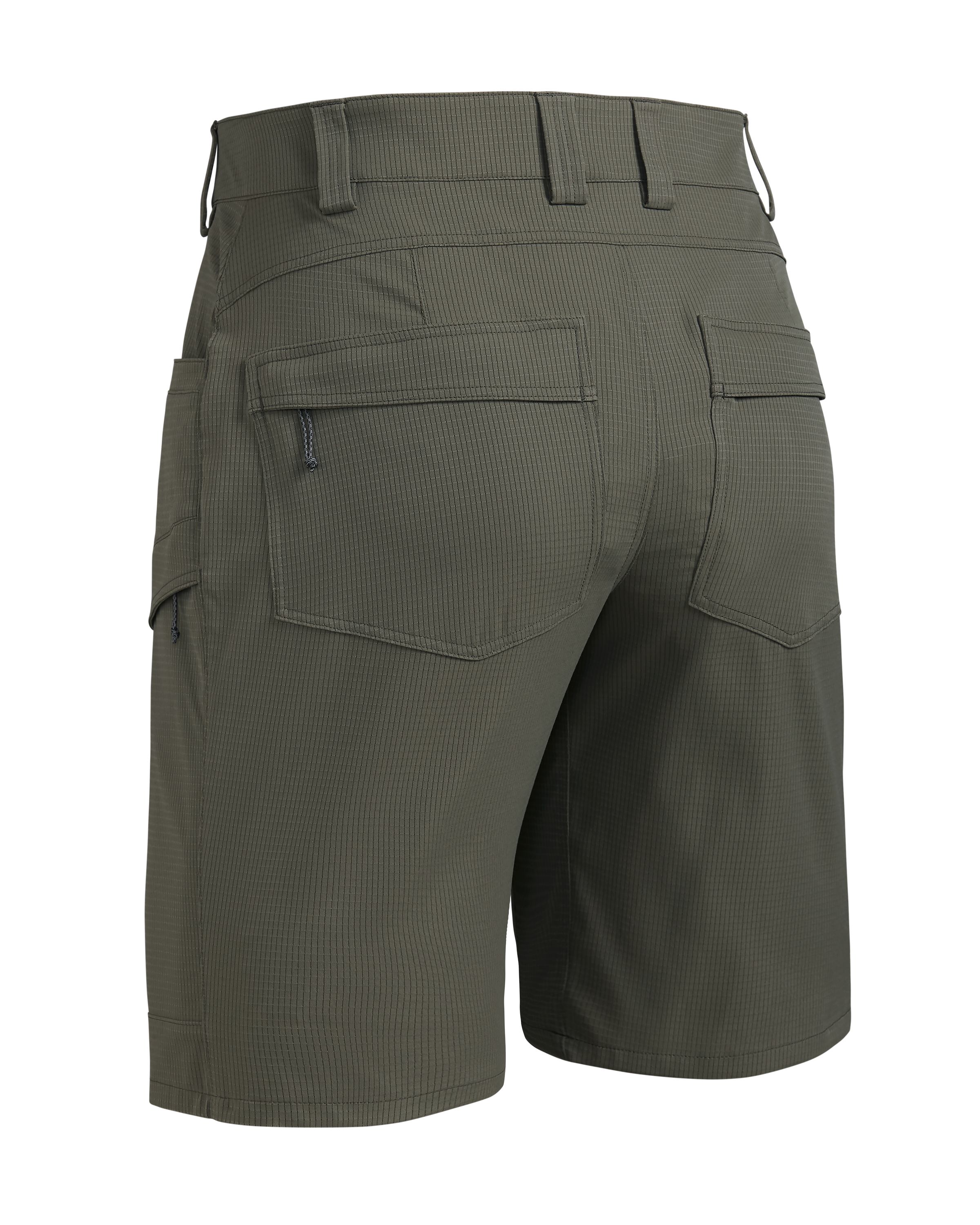 Tiburon 10″ Short | Ash - Image 2